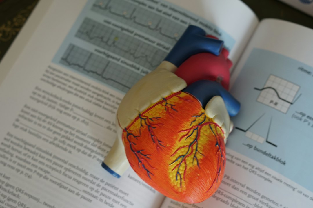 Kalp krizi riski ve kardiyovasküler risk değerlendirmesini temsil eden kalp anatomisi görseli; EPC Hastanesi